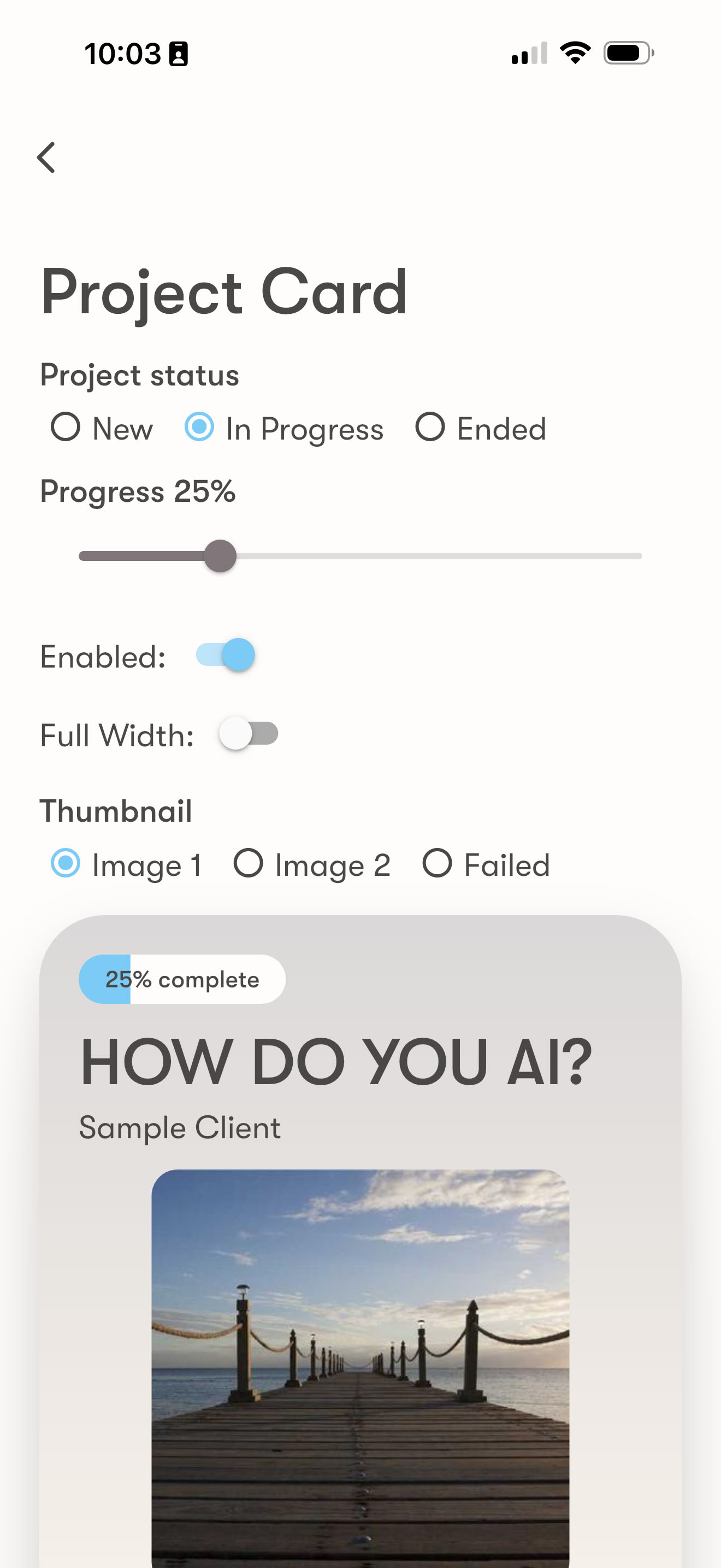 UI Inventory - Project Card